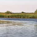 Полесск, река Дейма.
