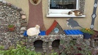 Кошки в кошкином дворе.