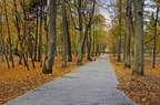 Городской парк Советска.