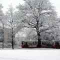 Зима и трамвай.
