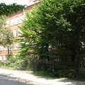Часть здания гимназии №1 с ул. Кропоткина.