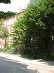 Часть здания гимназии №1 с ул. Кропоткина.