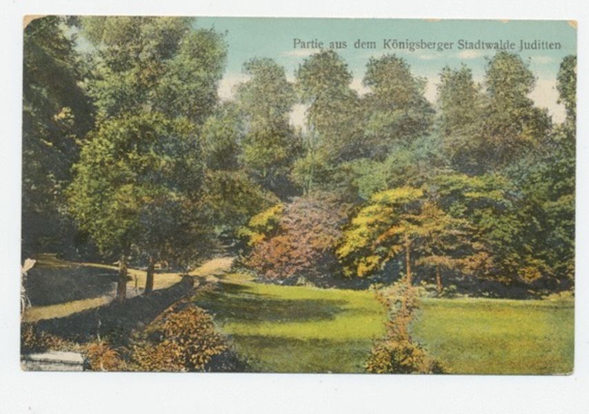 Königsberg. Stadtwald Juditten (1910-1917).