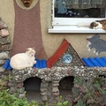 Кошки в кошкином дворе.