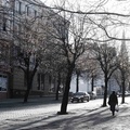 Центральная улица Ленина.