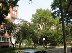 Зеленые улицы Калининграда (ул. Чекистов).